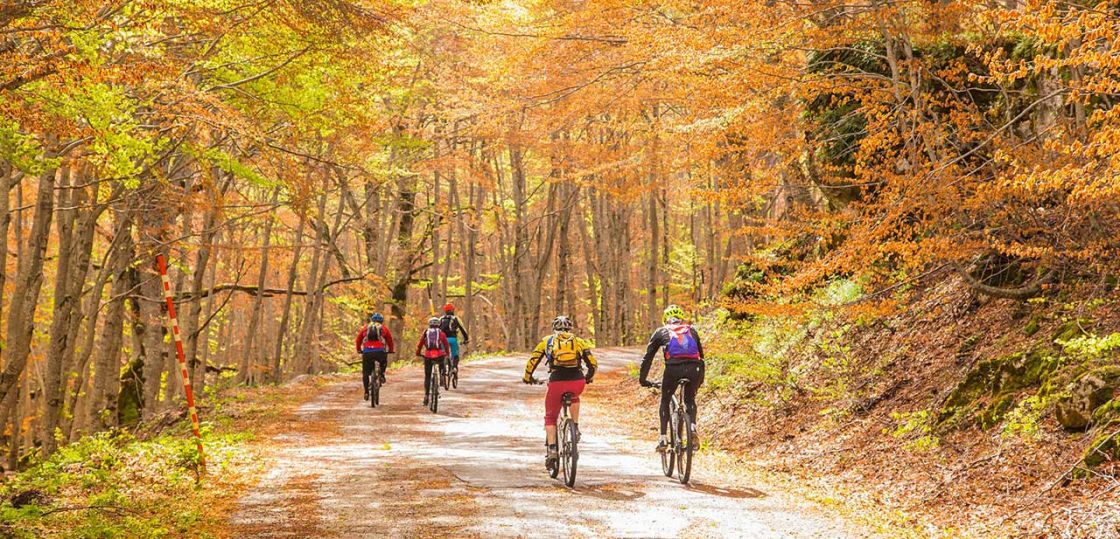 Escursioni in e-bike