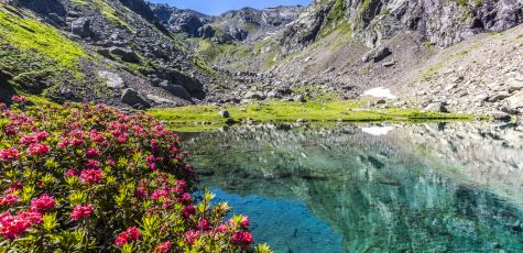 ANELLO DEI LAGHI SEROTI (Passo del Mortirolo)
