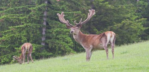 SULLE ORME DELL'ABATE STOPPANI